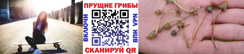 Галлюциногенные грибы ЛСД  Чаплыгин 